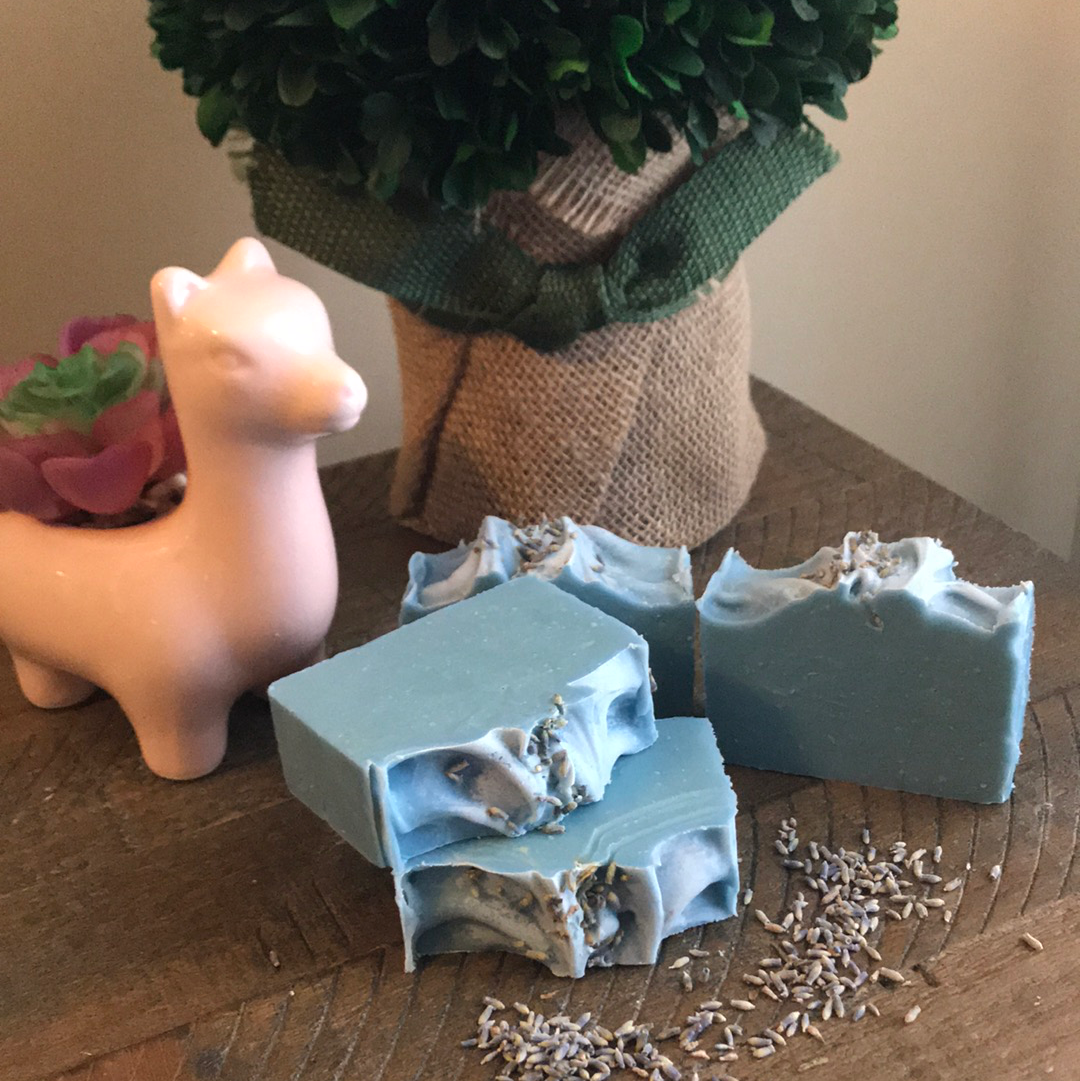 Four bars of the Lemony Lavender Bliss are displayed next to the signature pink Llama and a green topiary plant. These softly colored blue bars are topped with Lavender buds and these same buds are gently laying in front of the soaps.