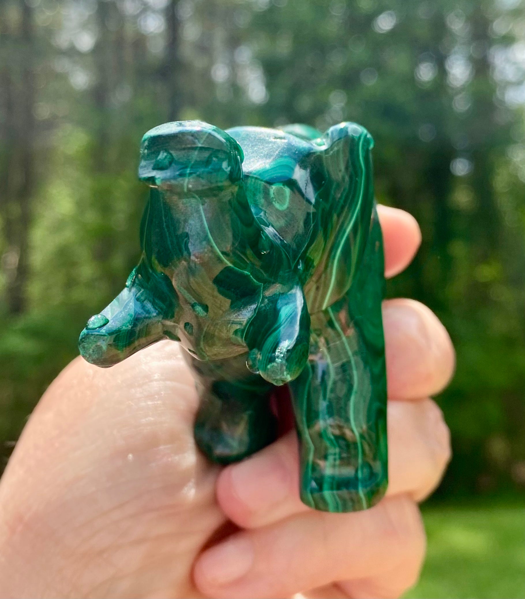 Animal Carvings