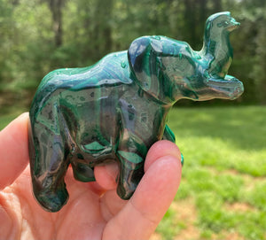 Animal Carvings