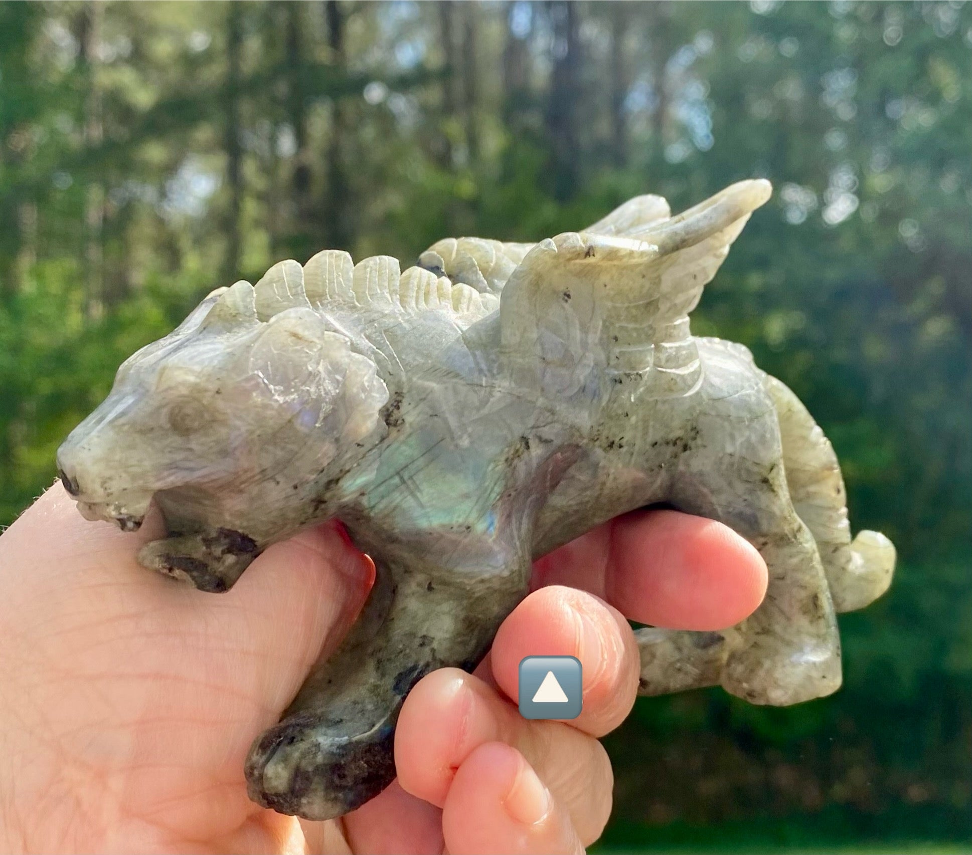 Animal Carvings