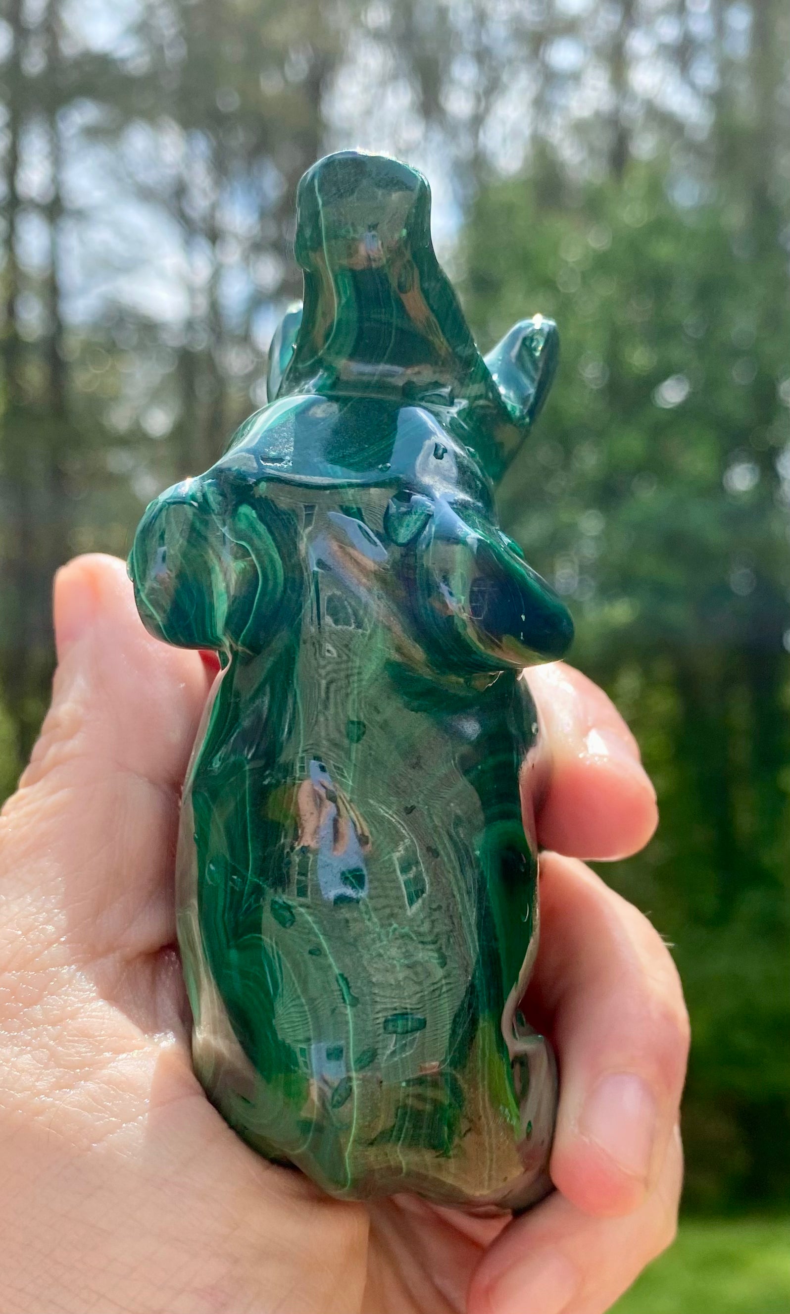 Animal Carvings